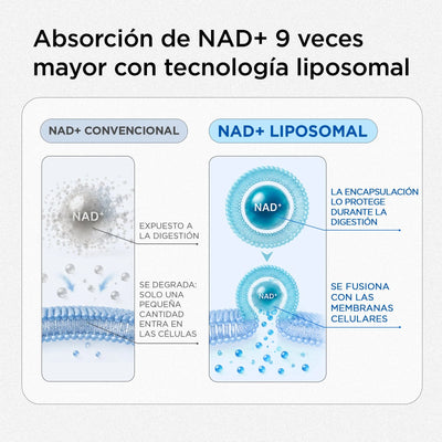 Selerb Nad+