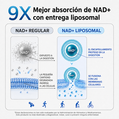Herba Nad+